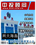 同大海岛:中国超纤革领军企业