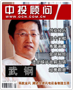 武钢:领航金风 跨进全球风电设备制造五强