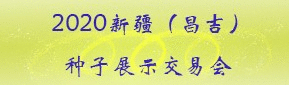 ʳ漼