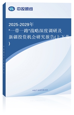2025-2029ꡰһһ·սȵм½Ͷʻо(¾)