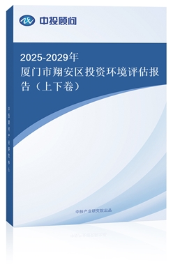 2025-2029谲Ͷʻ棨¾