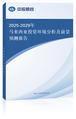 2025-2029ͶʻǰԤⱨ