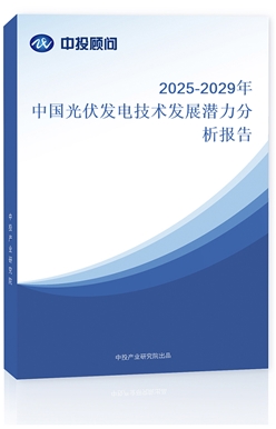 2025-2029й缼չǱ