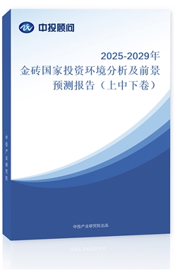 2025-2029שͶʻǰԤⱨ棨¾