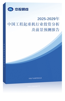 2025-2029йػҵͶʷǰԤⱨ
