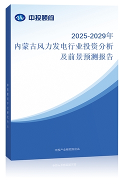 2025-2029ɹŷҵͶʷǰԤⱨ